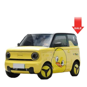 2024 famous brand Geely Panda Knight 200km Mini Electric Hot Selling New High Speed Adult New Listing Mini pure electric car